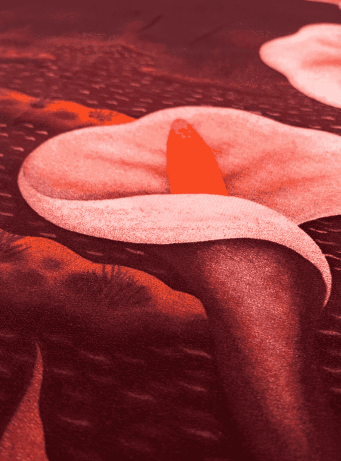 Carré Lys — Foulard soie femme chic vintage, motif floral
